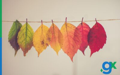 Staying relevant in a constantly changing market