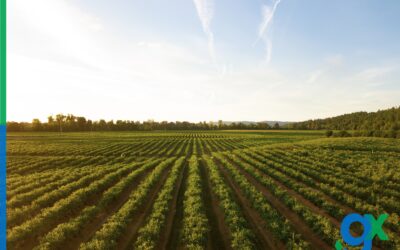 The future of agriculture: trends and predictions.