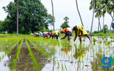 Indian AgriTech Startups: Innovations in Agriculture and Farming