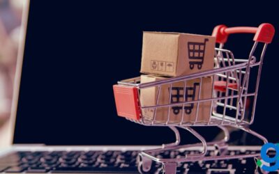 E-Commerce Inventory Solutions: Tips for Small Business Owners