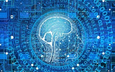 Harnessing the Power of AI in Financial Management